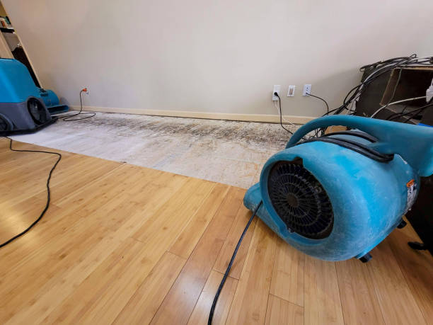 Professional Flood Damage Cleanup technician working in Middleton, ID